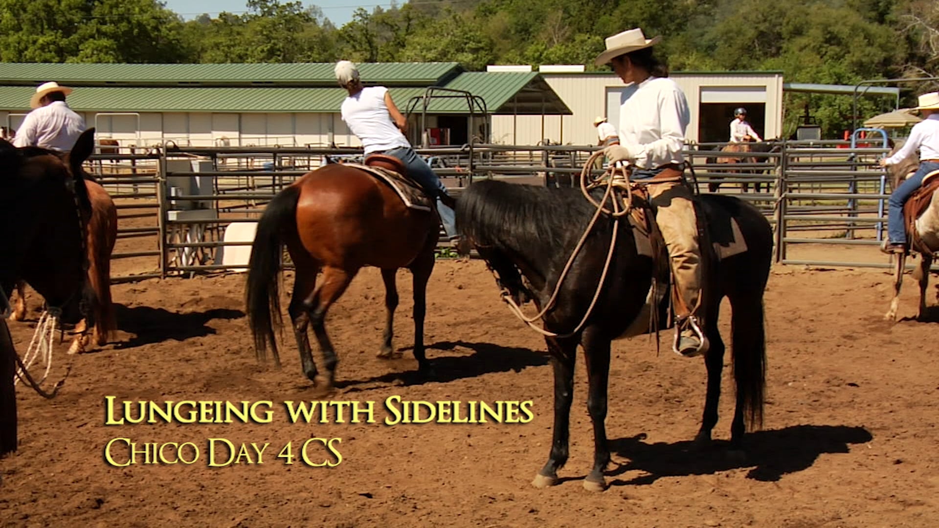 Lunging With Sidelines