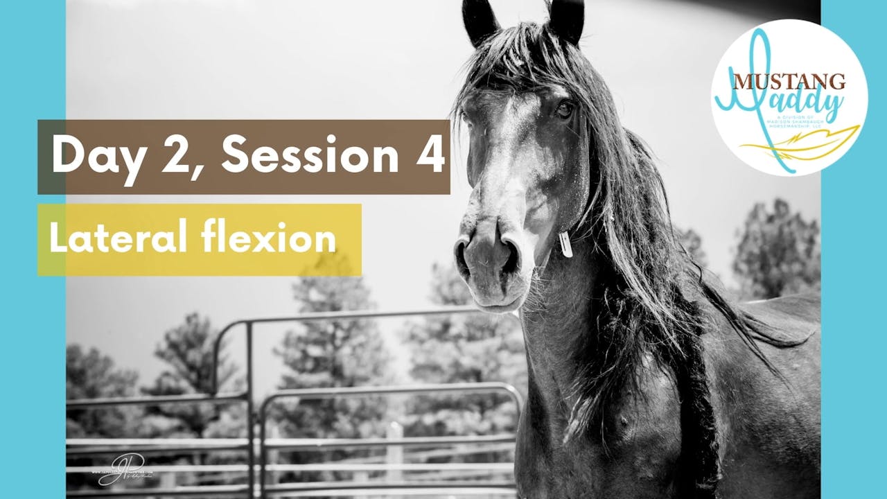 Lateral Flexion Horse.TV