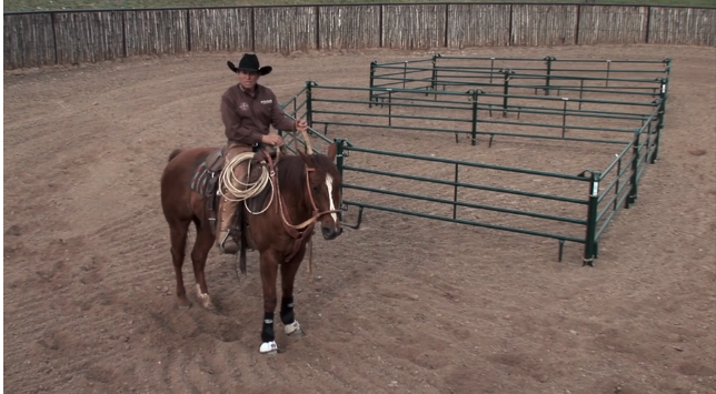 Episode 04 | 4 Way Exercise