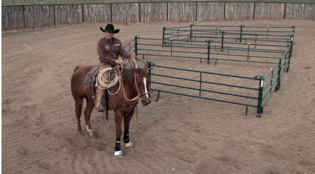 Episode 04 | 4 Way Exercise