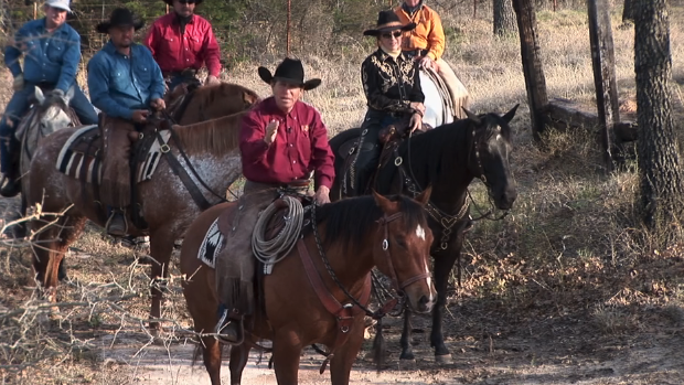 Episode 03 | Companion - Pt 2