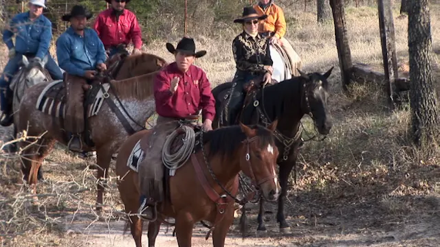 Episode 03 | Companion - Pt 2