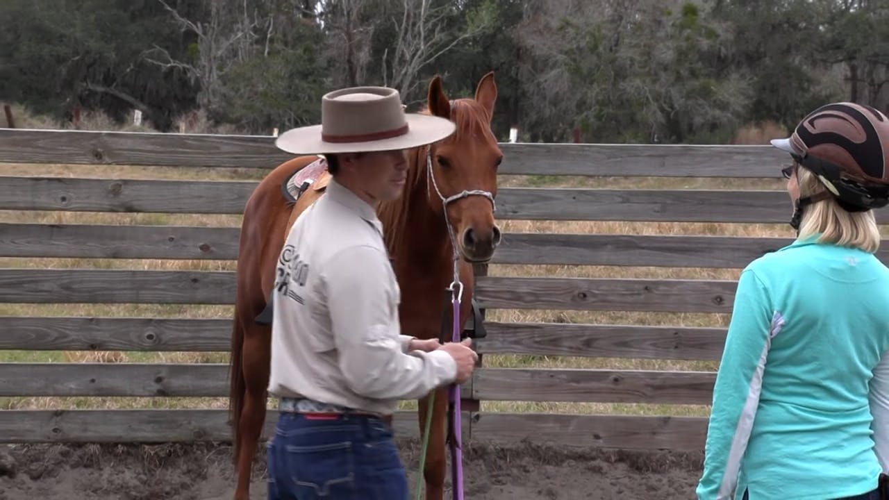 Lunge A Hot Horse Horse.TV