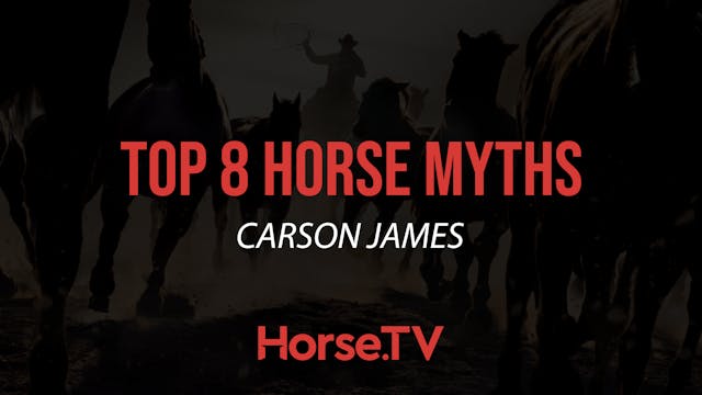 The Top 8 Horse Myths Debunked
