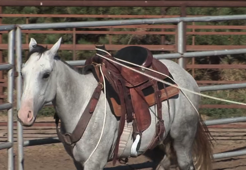 Episode 01 | Rope Breaking