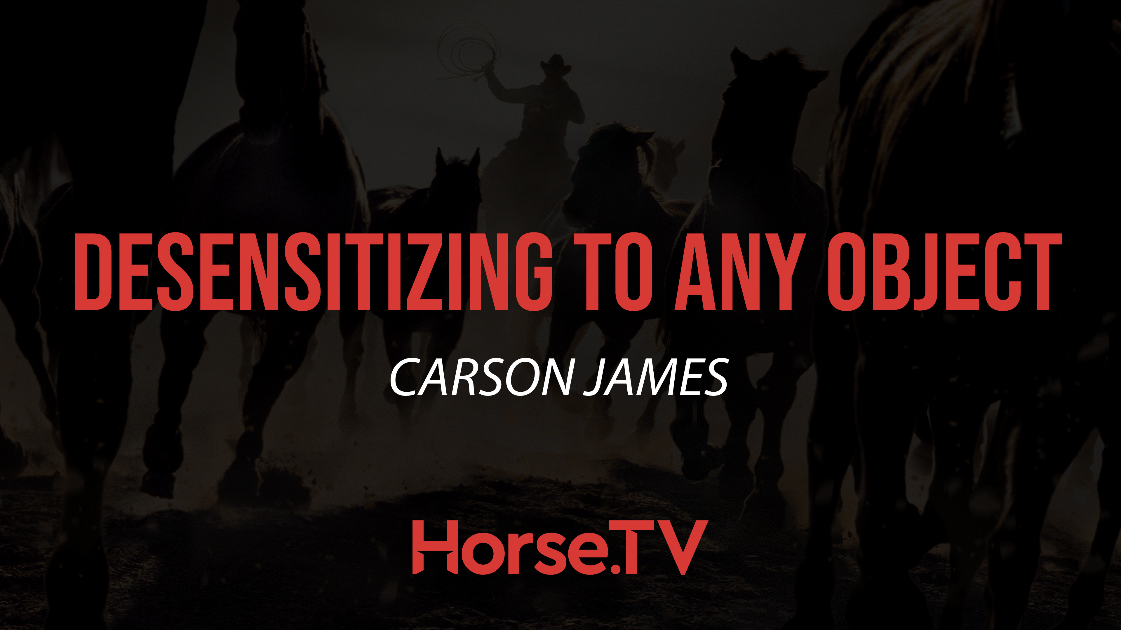 Desensitizing To Any Object