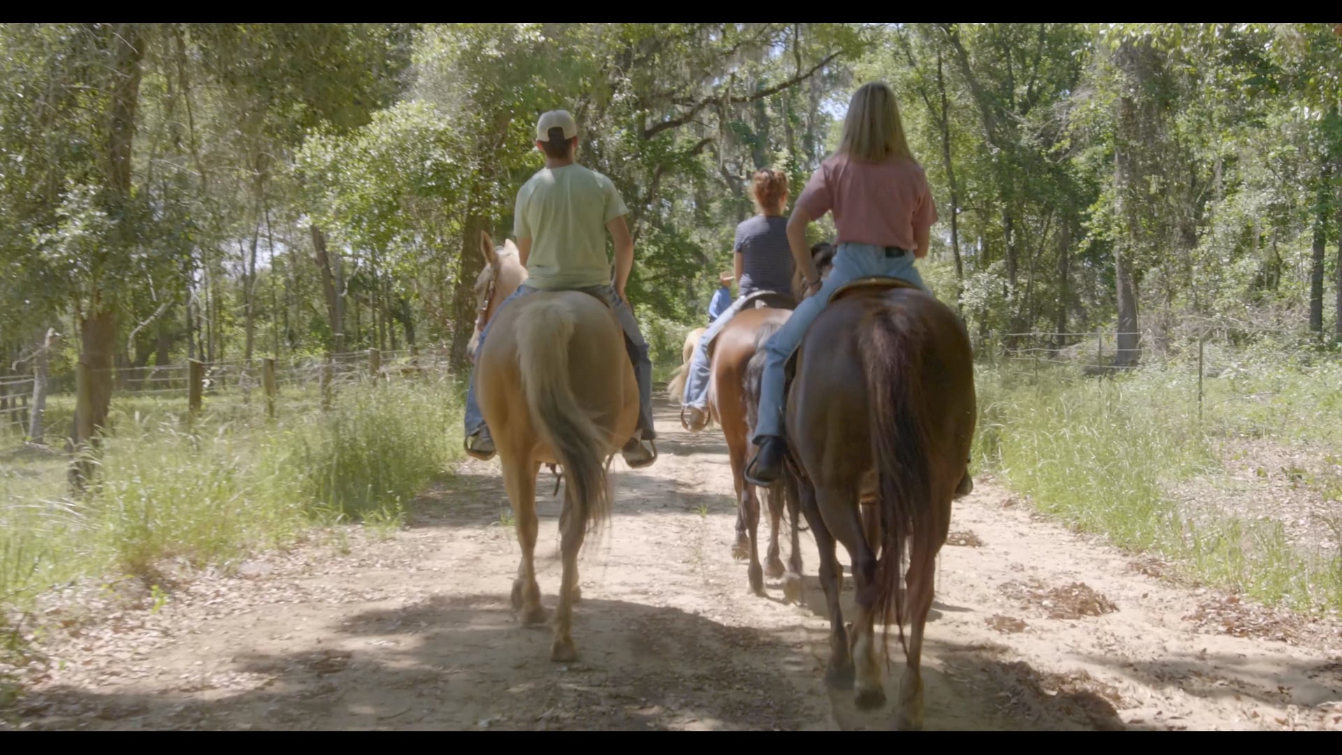 Lead Horse On The Trail