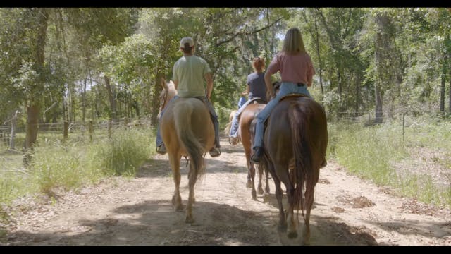 Lead Horse On The Trail