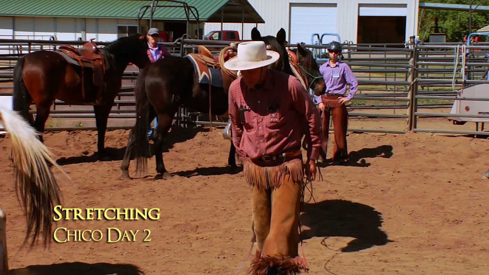 Stretches For Riders