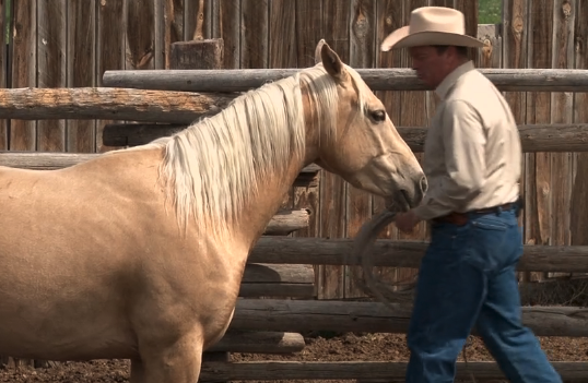 Episode 03 | Colt Starting - Pt 2