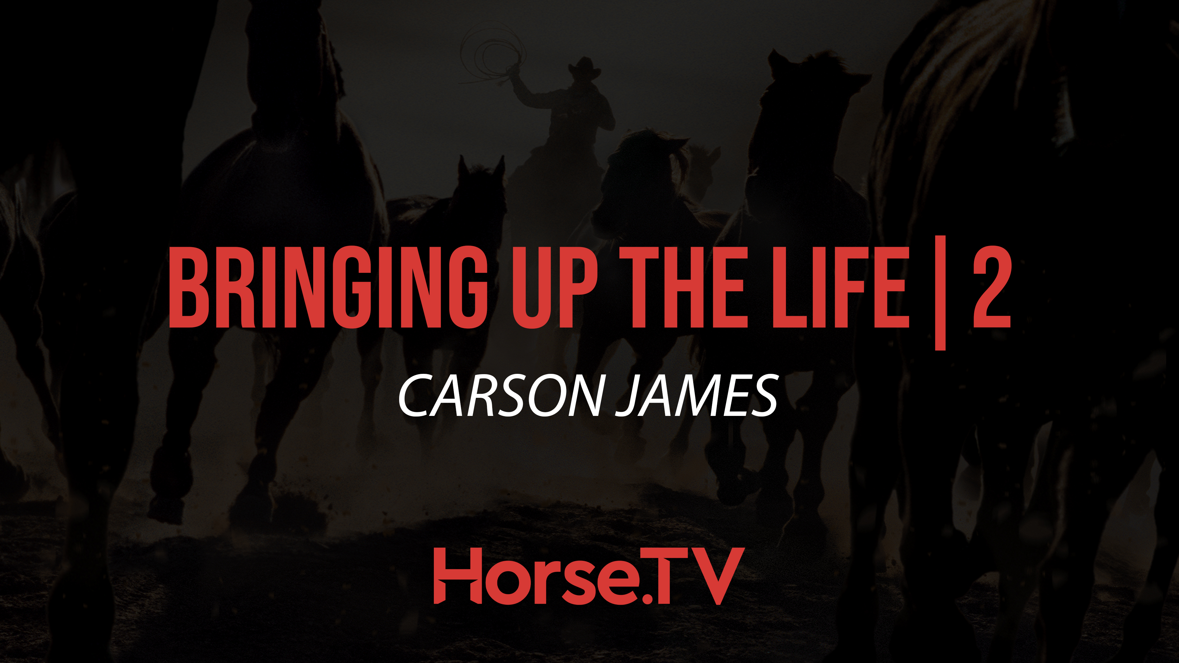 Bringing Up The Life |2