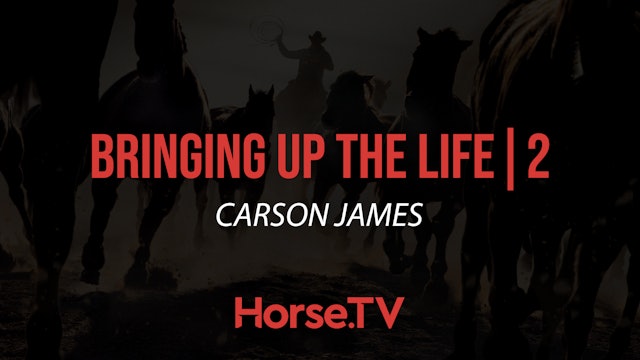 Bringing Up The Life |2