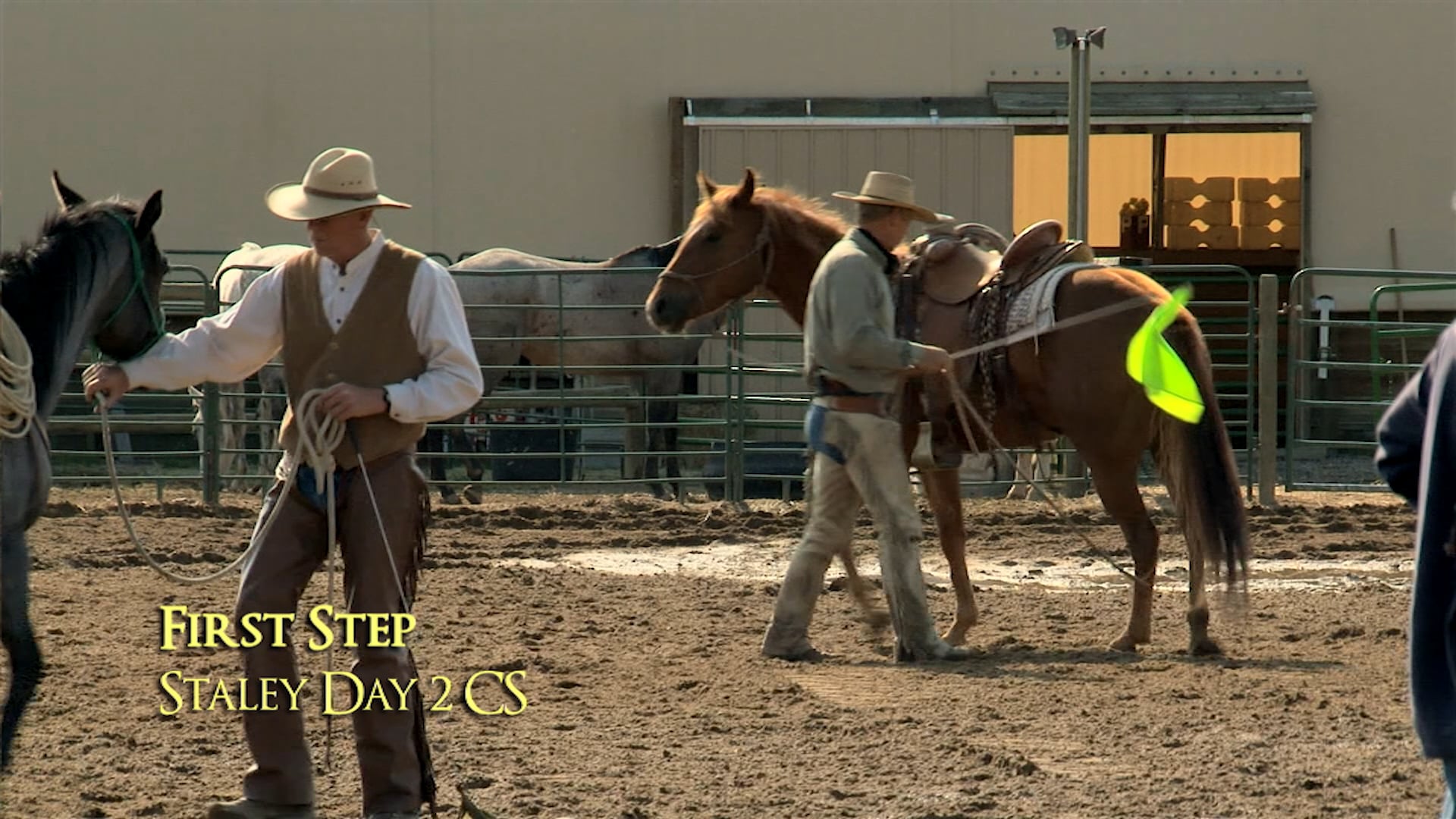 Leg Pressure From The Ground