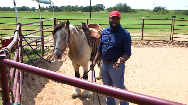 First Steps Under Saddle