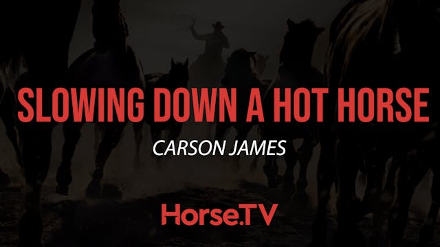 Slowing Down A Hot Horse