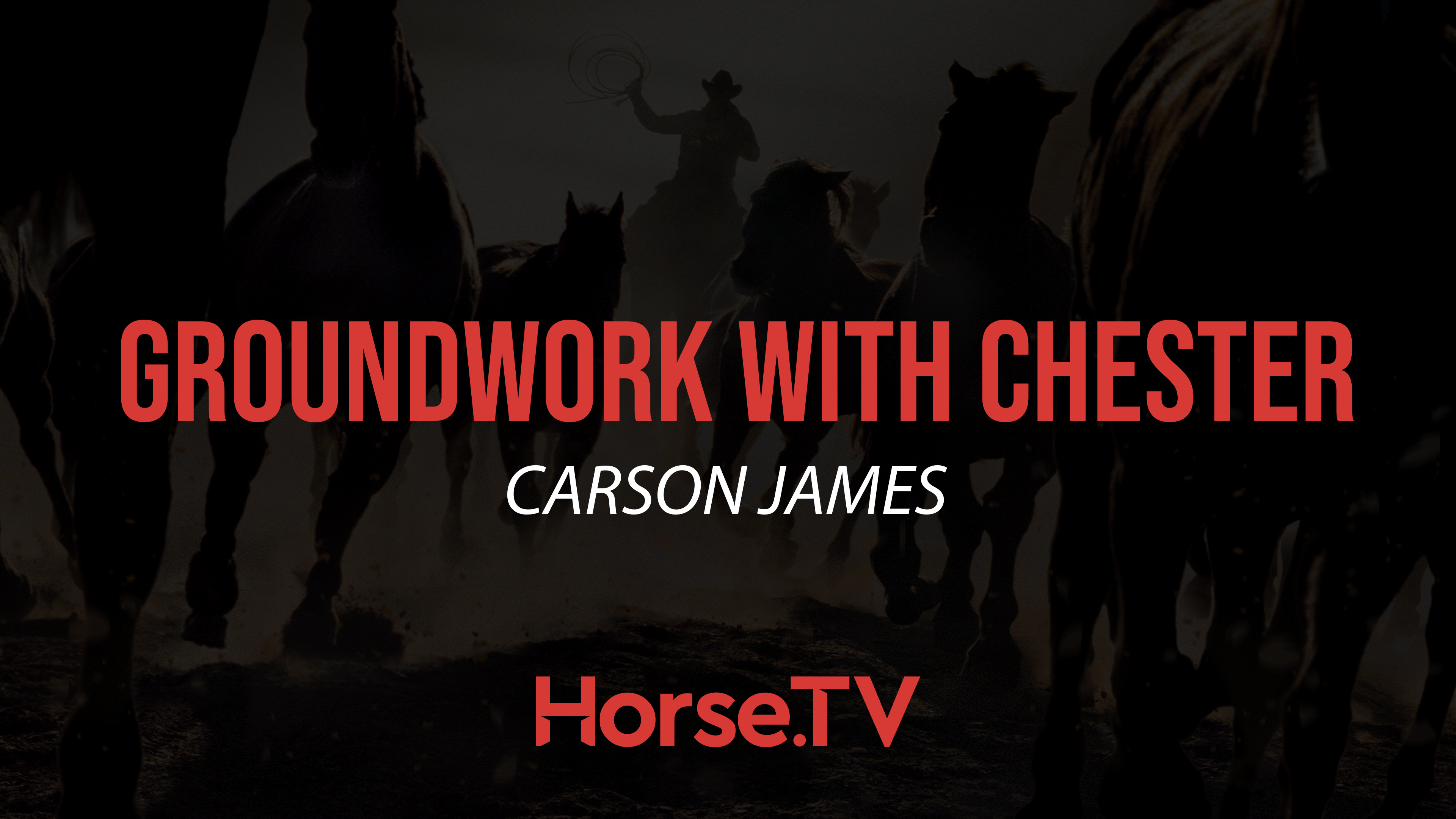 Groundwork With Chester