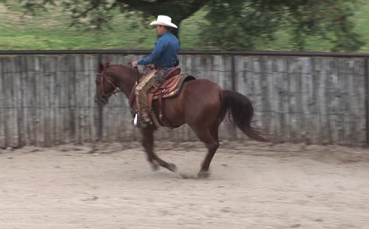 Episode 09 | Lead Changes