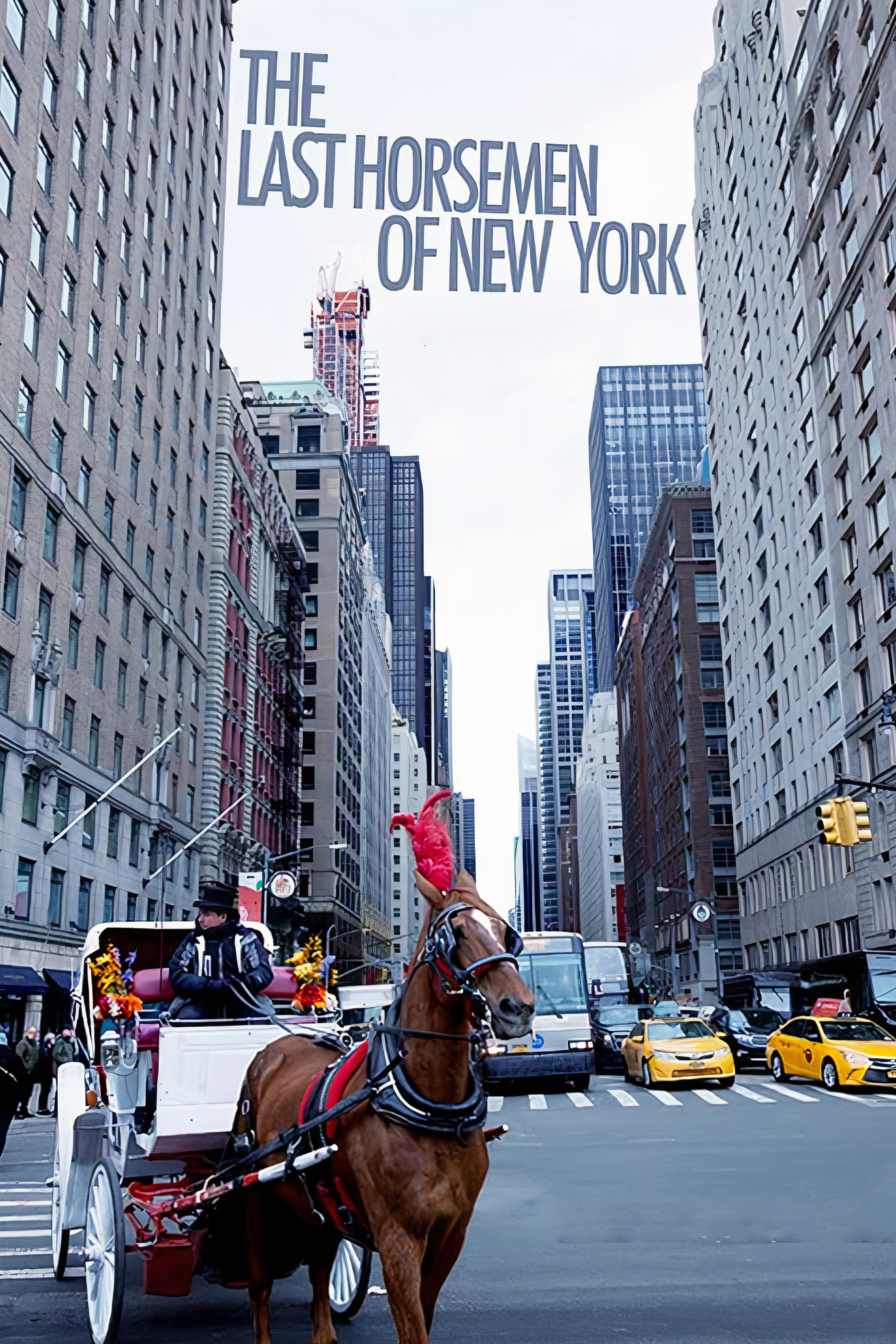 The Last Horsemen Of NY