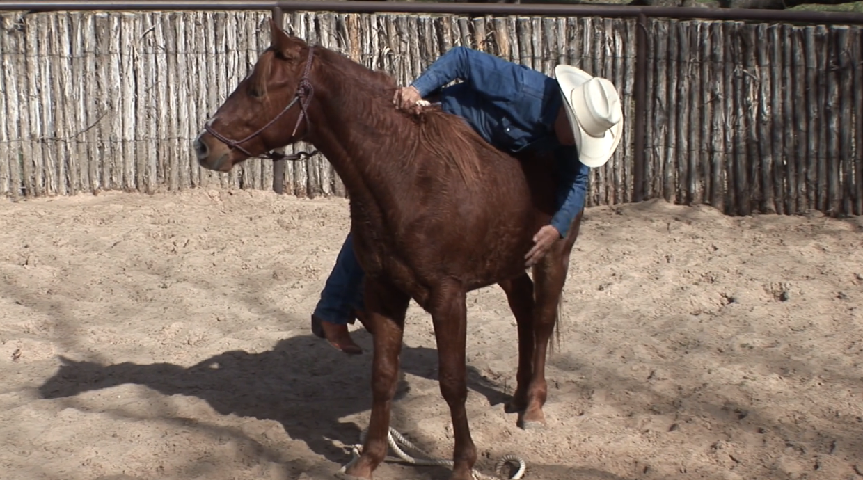 Episode 08 | Colt Start with Ty Murray - Pt 2