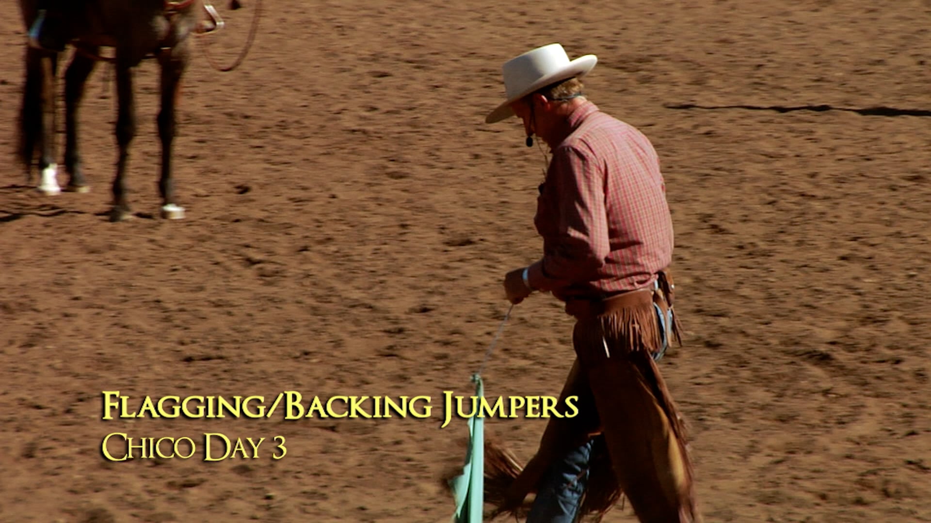 Flagging & Backing Exercise