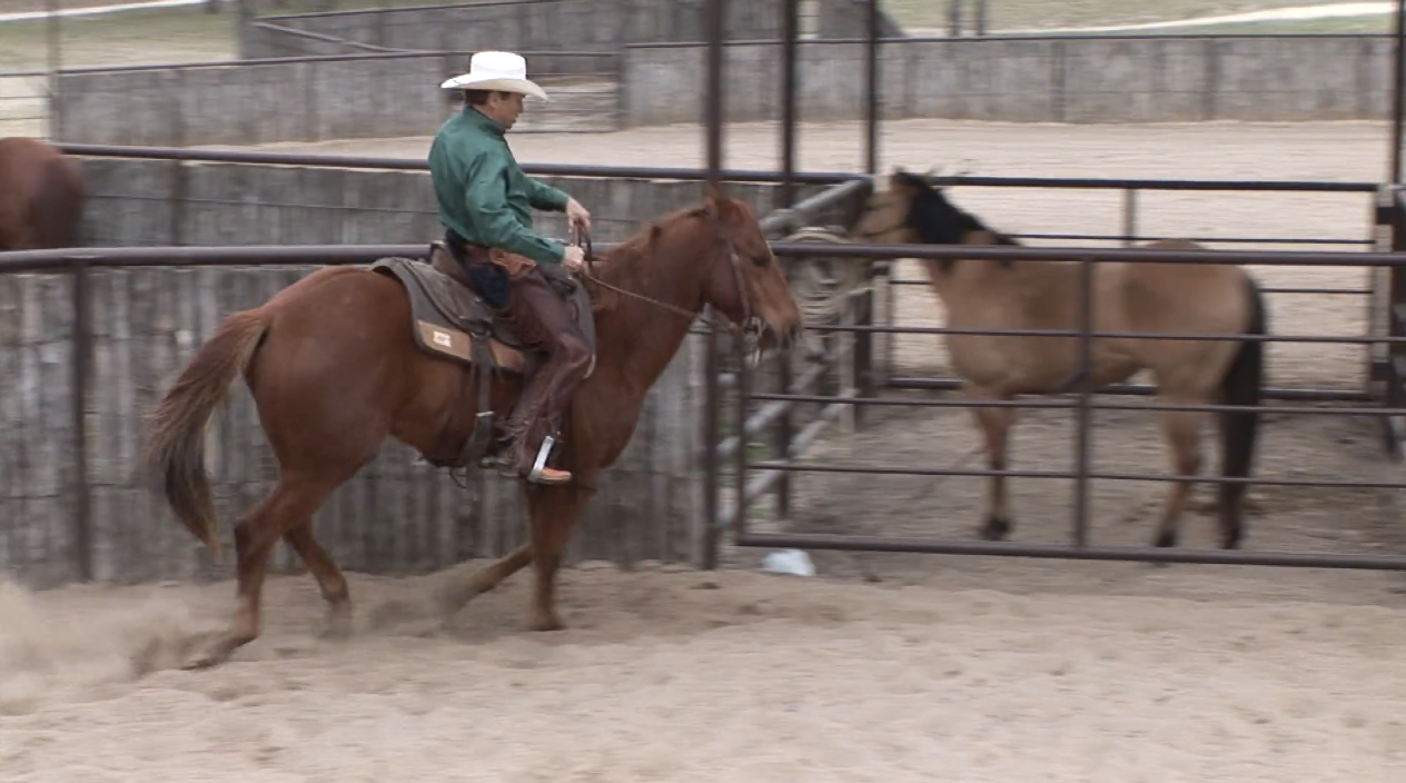 Episode 03 | The Perfect Horse - Pt 3 