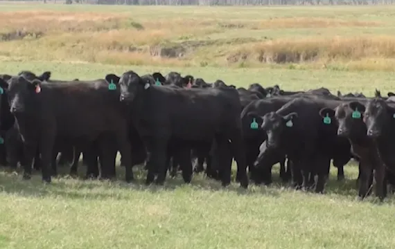 Hughes Ranch | Oklahoma