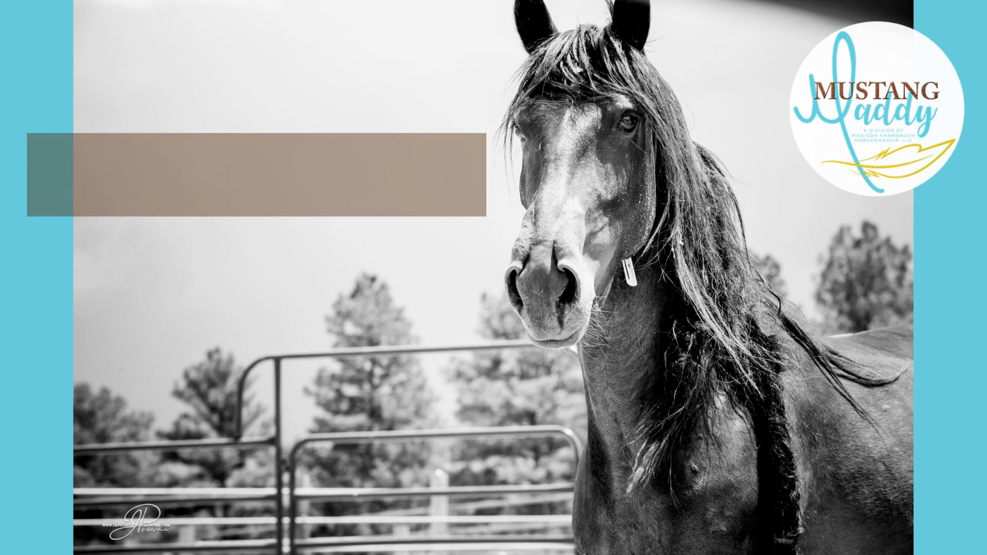 Hindquarter Yield | Neck Rope