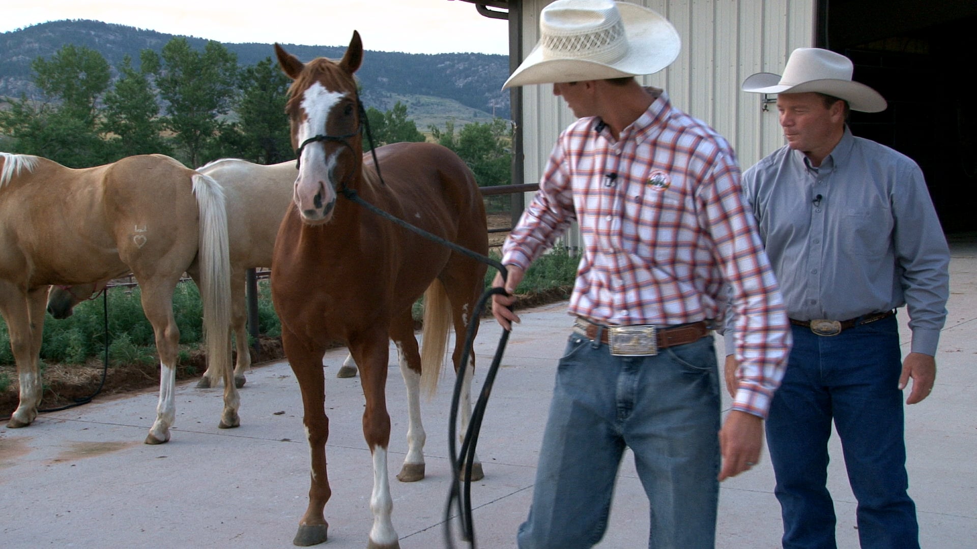 Episode 01 | Choosing Sale Horse Competition