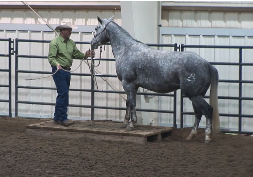 Episode 10 | From the Ground Up - Pt 4