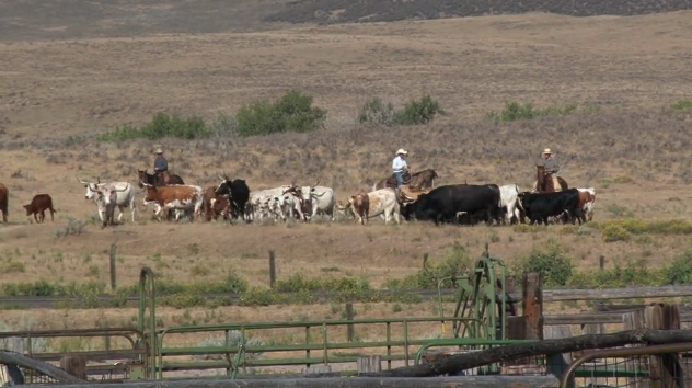 Episode 08 | Rope Safety