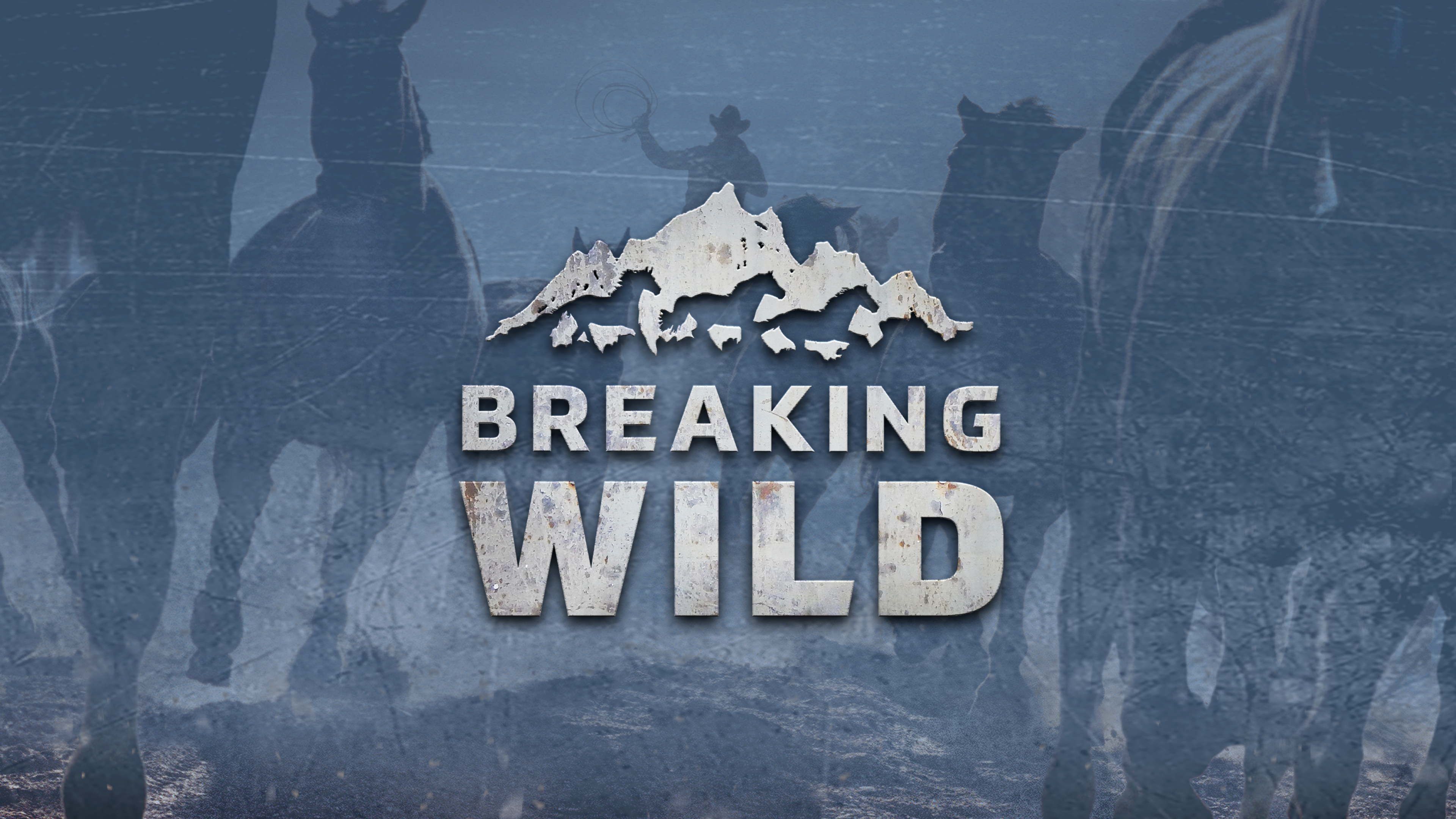 Breaking Wild
