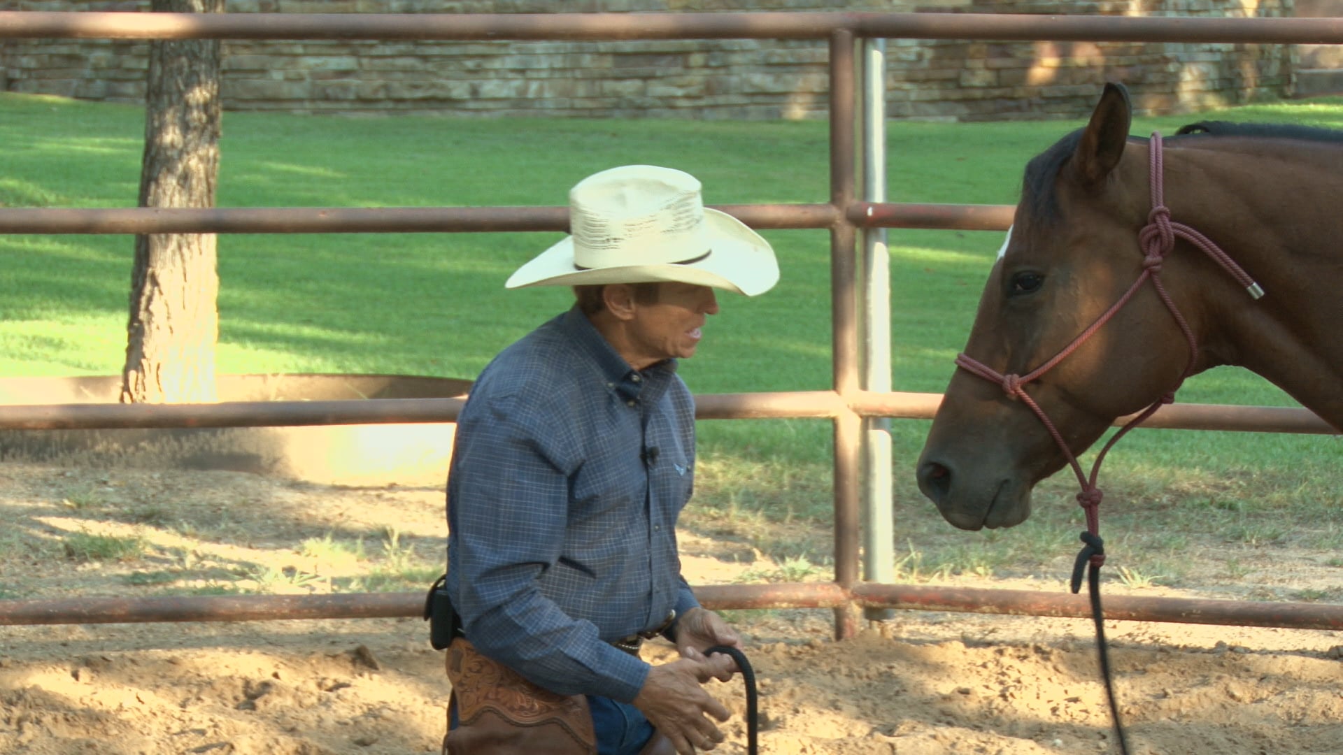 Episode 02 | Working With an Older Horse - Pt 1 of 2