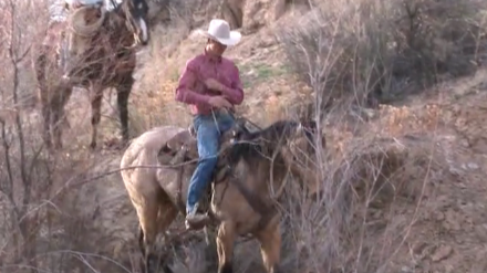 Episode 12 | On the Trail