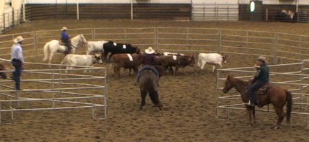 Episode 06 | Ranch Sorting Basics 1