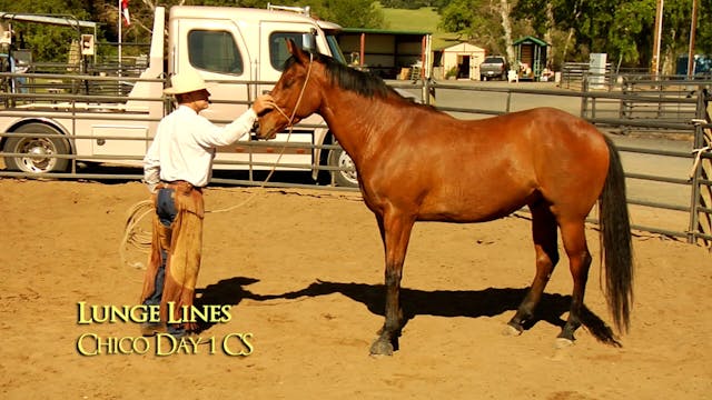 Lunge Line Dangers