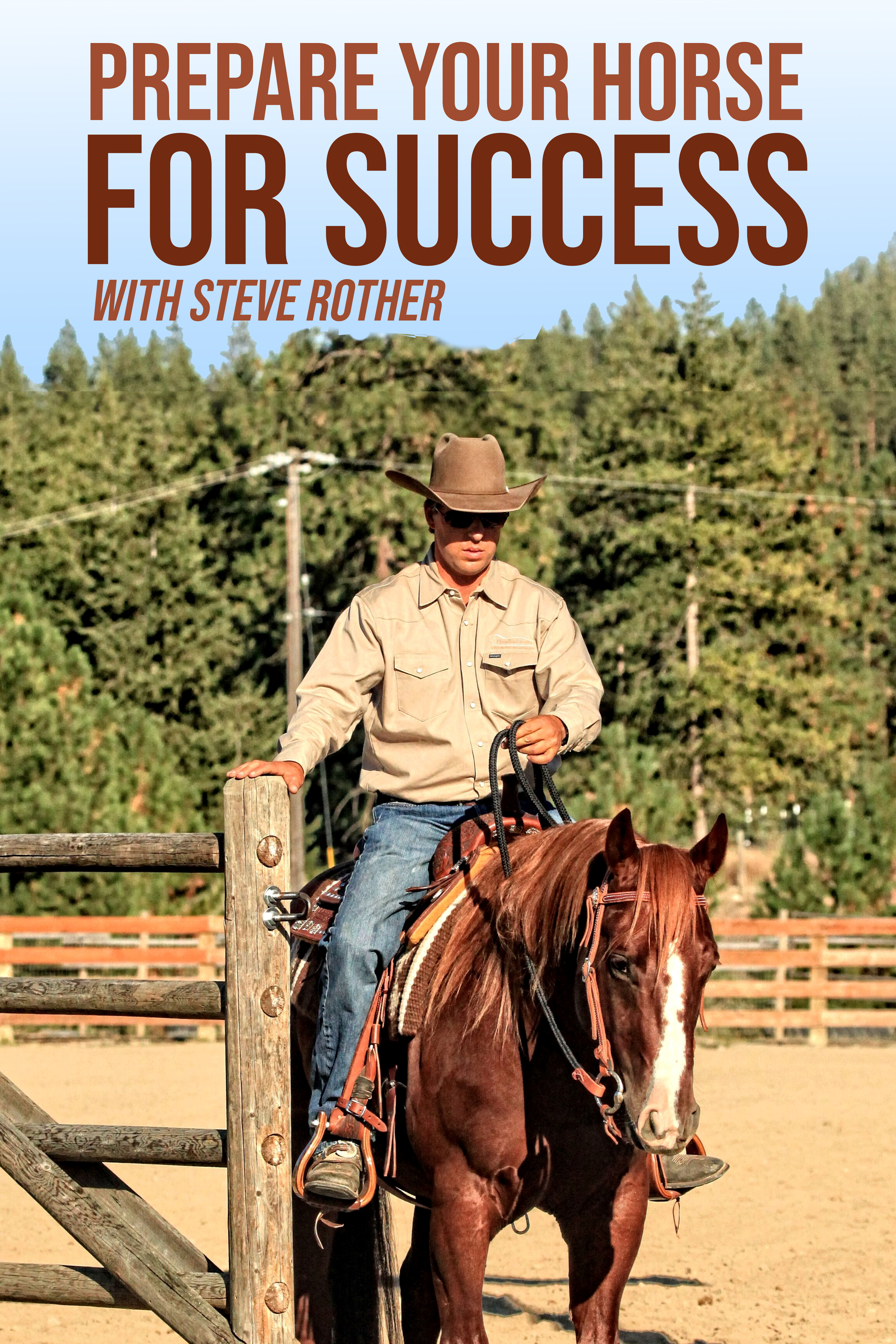 Prepare Your Horse For Success