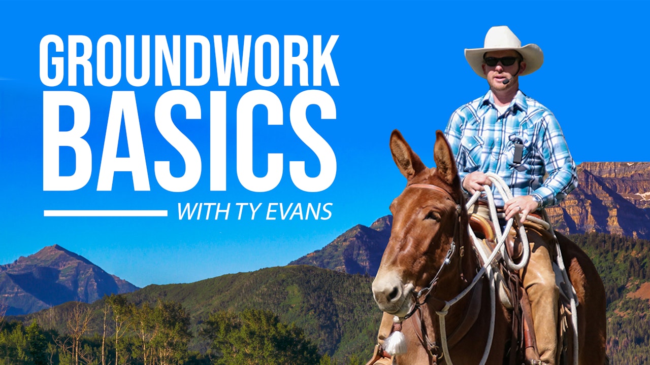 Groundwork Basics | Ty Evans
