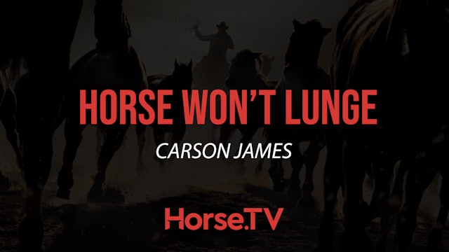 Horse Won't Lunge