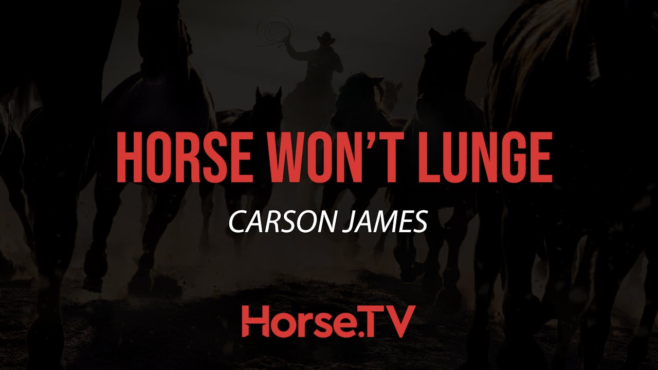 Horse Won't Lunge Horse.TV