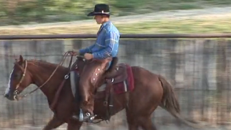 Episode 04 | Transitions