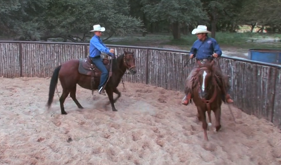 Episode 08 | 2nd Horse