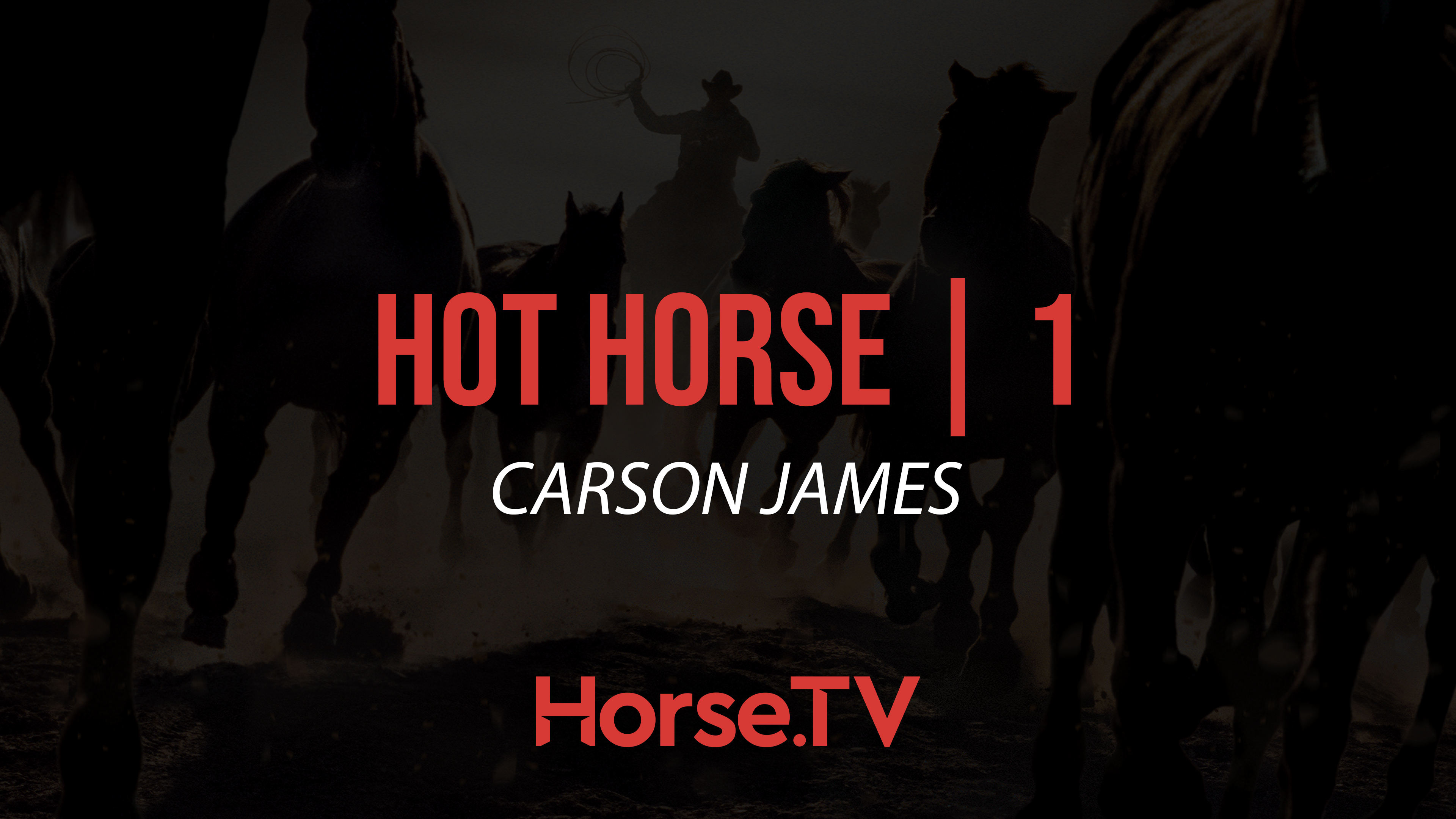 Hot Horse |1