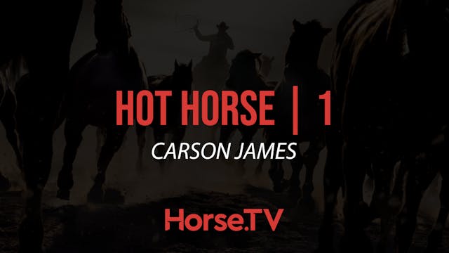 Hot Horse |1