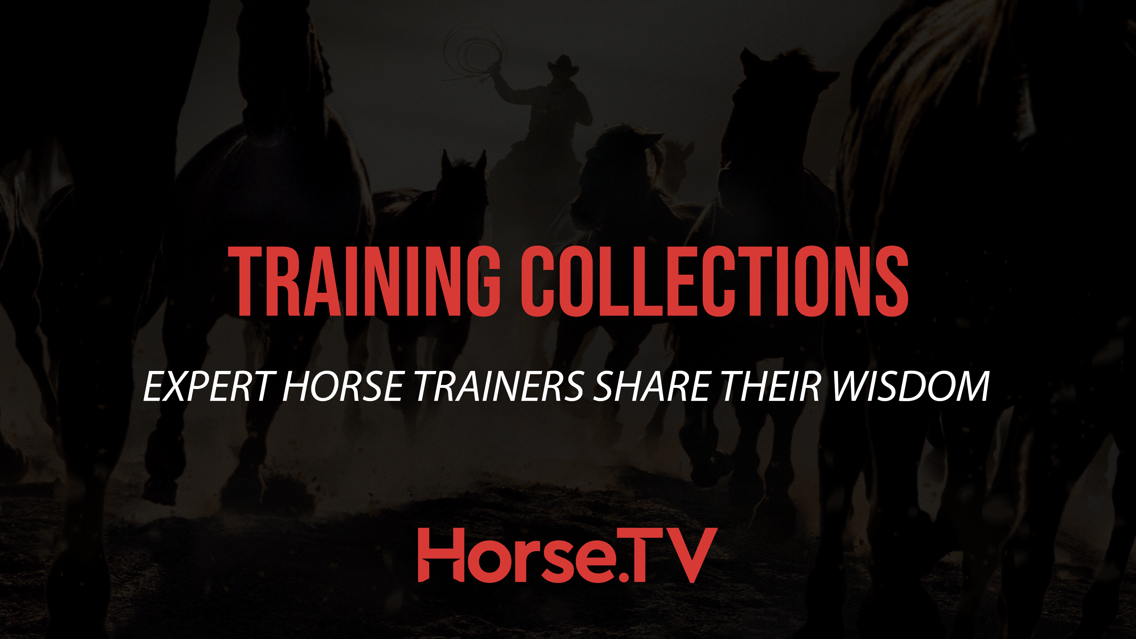 All Training Collections