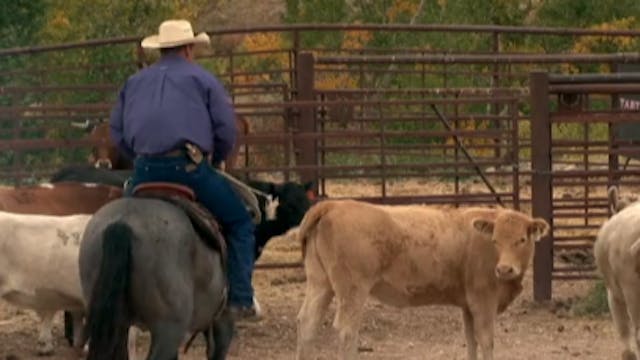 Episode 06 | Building A Ranch Horse -...