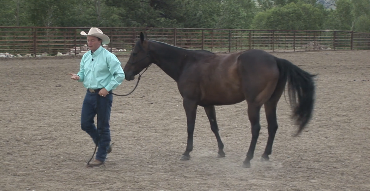 Episode 04 | Building A Relationship From The Ground