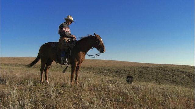 Cowboy Country - Episode 4