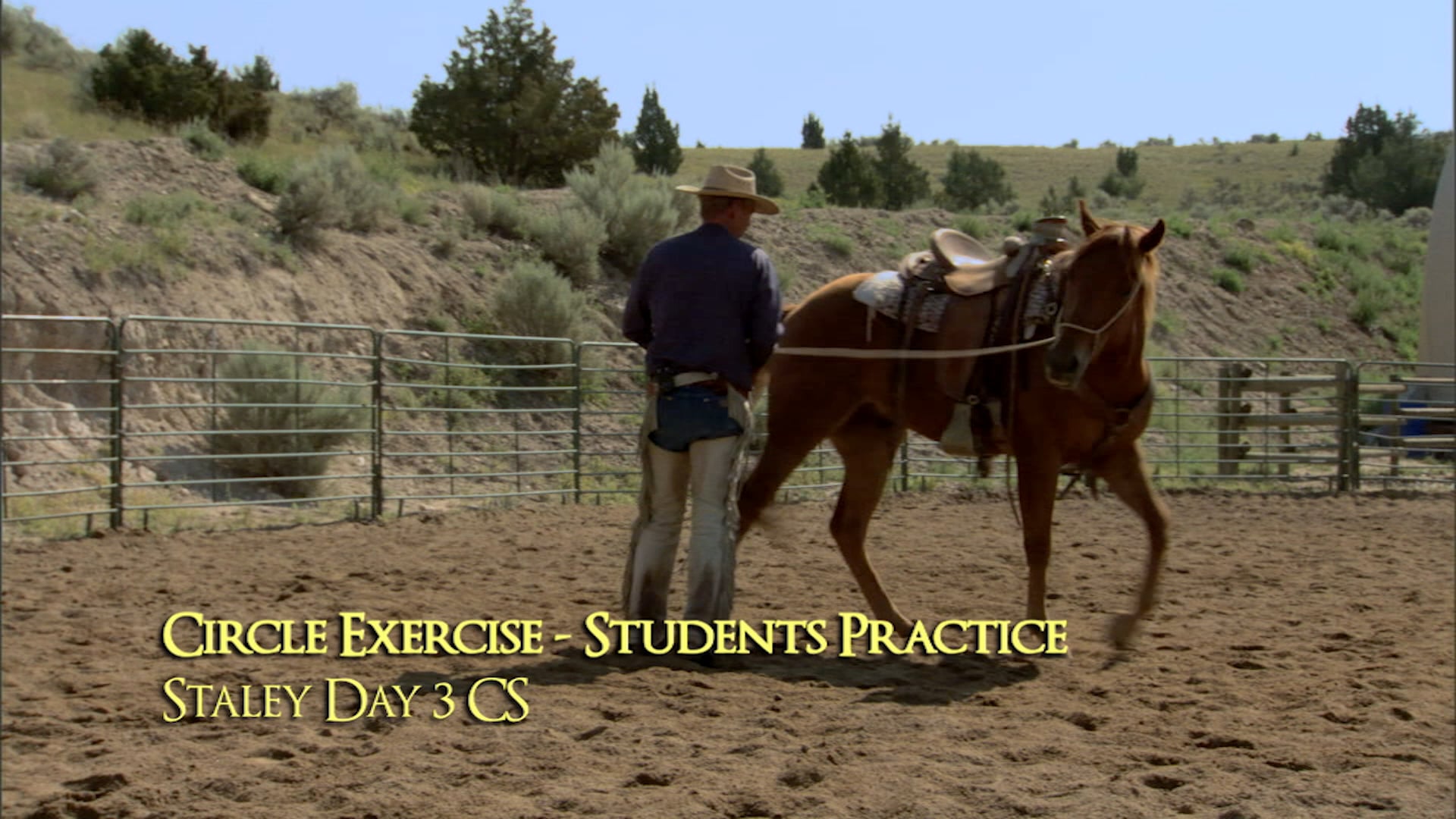 Colt Groundwork Circles