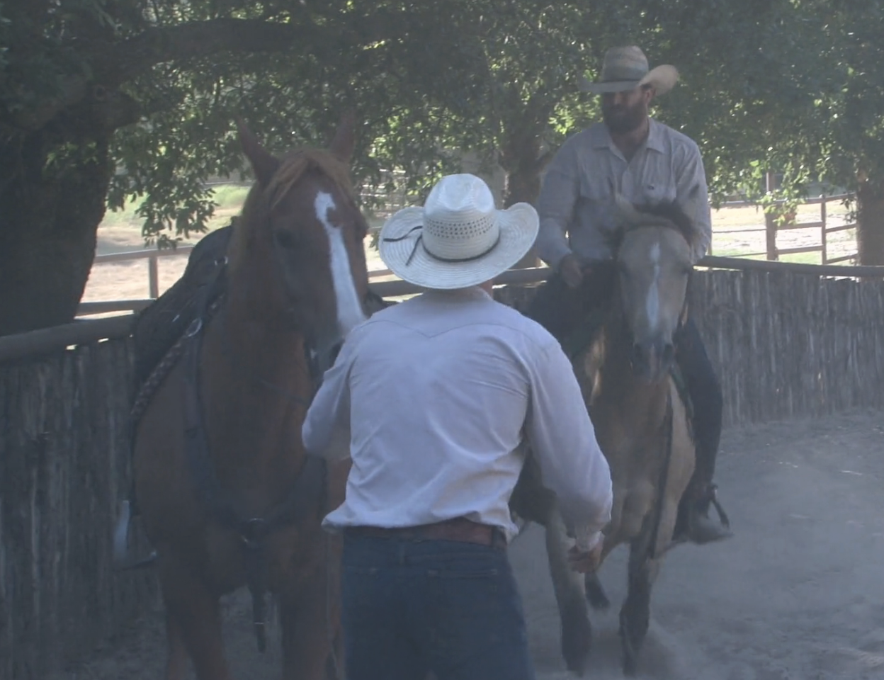 Episode 12 | Pony Express & Sorting