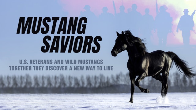 Mustang Saviors